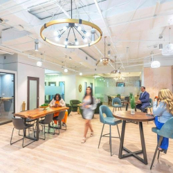 Executive offices to let in Boca Raton