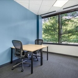 Office suite - Reston