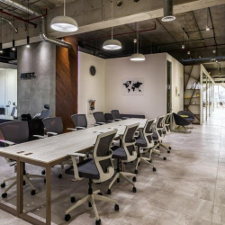 Bright common area featuring a long communal table and gray mesh chairs.