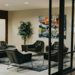 Executive office centres to let in Dallas