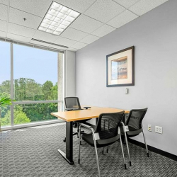 Offices at 13010 Morris Road, Suite 600
