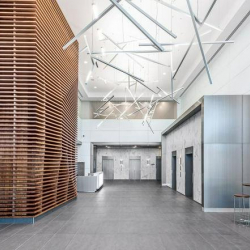 140 Grand Street, Suite 800