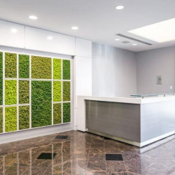 Office accomodation to rent in White Plains