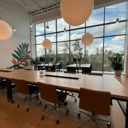 Executive suite to lease in Spring