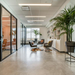 Interior of 14425 Falcon Head Boulevard, Building E, Suite 100