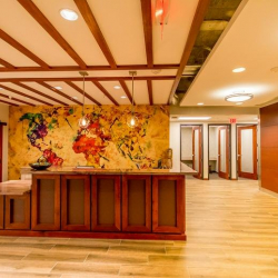 150 South Pine Island Road, Suite 300 executive office centres