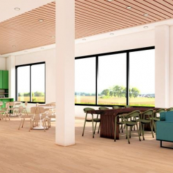 Office accomodation in Rohnert Park