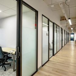 Offices at 1501 Belvedere Road, Suite 500