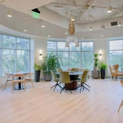 Serviced office centre to lease in Scottsdale
