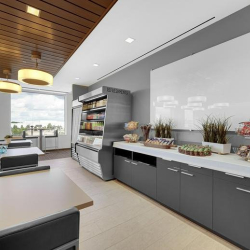 Serviced office - Schaumburg