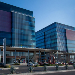 Office accomodation - Santiago de Querétaro