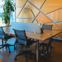 17, Avenida Paseo Monte Miranda Oriente, Piso 5 office spaces