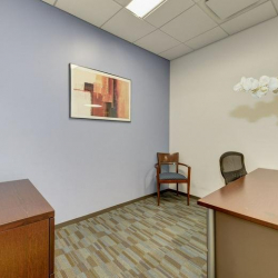 Executive suite - Alexandria (Virginia)