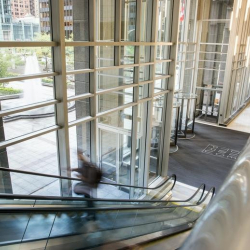 Executive offices to lease in Chicago