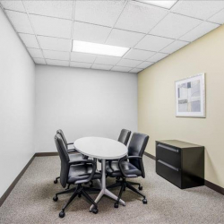 Serviced office centre - Schaumburg