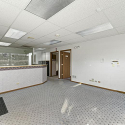 Serviced office centres to hire in Schaumburg