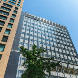 Offices at 195 Montague Street, 14th Floor