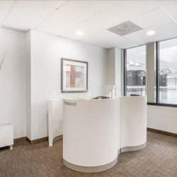 Serviced office to lease in Lake Success