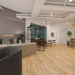 Office spaces in central Saint Petersburg (Florida)