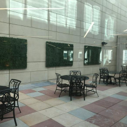 Executive suites to hire in Denver