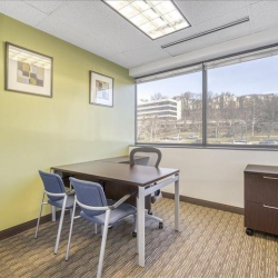 Office suite in Hunt Valley