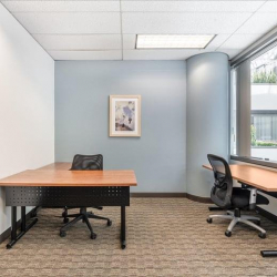 Chicago office space