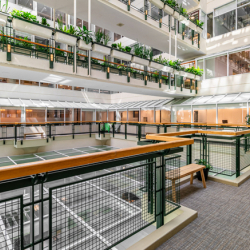 Serviced offices in central Toronto