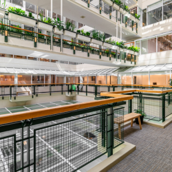 Image of Toronto executive office