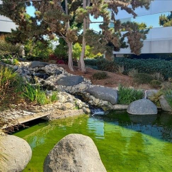 Image of Carlsbad office space