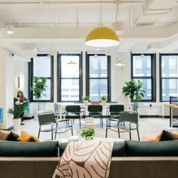 Offices at 214 West 29th Street