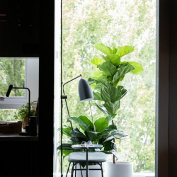Office accomodations in central Vancouver