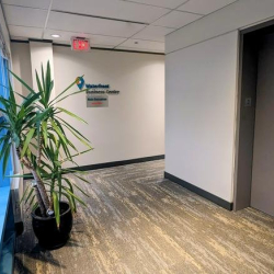 Elevator hallway with a tall green plant and warm wood flooring.