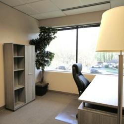 Sunlit private office suite with a tall indoor plant and views of the surrounding trees.