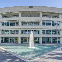 Office suite - Boca Raton
