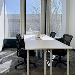 Executive offices to rent in Hebron