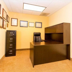 Serviced office in Wilton Manors (Florida)