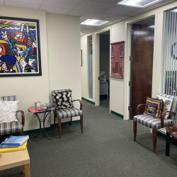 Exterior image of 233 Broadway, Suite 801, The Woolworth Building