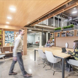 Offices at 242 Linden Street, 1st and 2nd Floor