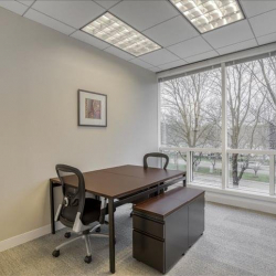Executive suite - Alpharetta (Georgia)
