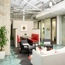250 University Avenue, Suite 200 executive suites