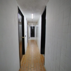 2503, Calle Efraín González Luna serviced offices