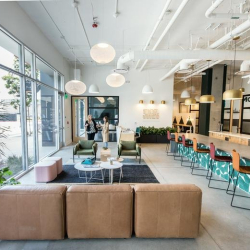 Executive suites to rent in San Marcos