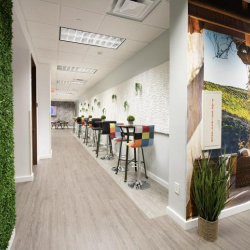 Executive office centres to let in Coral Gables