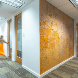 2525 Ponce De Leon Boulevard, Suite 300