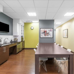 Executive office to rent in Katy