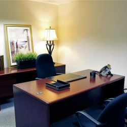 Image of Novi office space