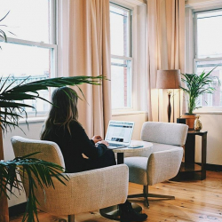 Executive office - Kingston (NY)