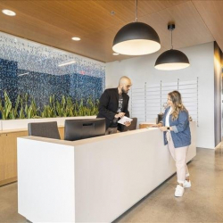 Offices at 2925 Richmond Avenue, Suite 1200