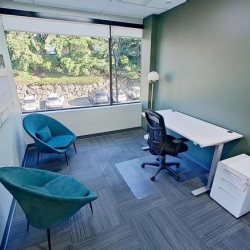 Bellevue serviced office