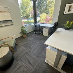 Serviced offices to rent in Bellevue